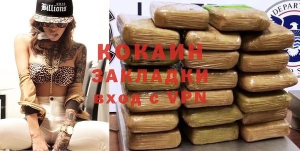 стафф Аркадак